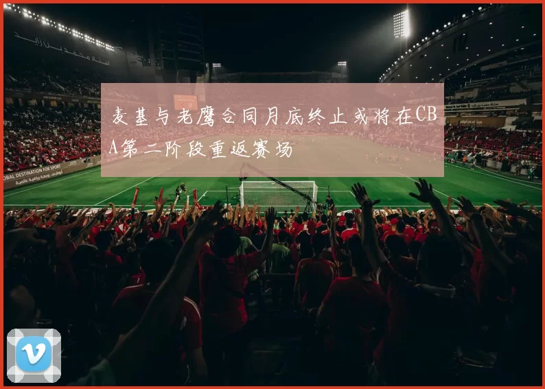 麦基与老鹰合同月底终止或将在CBA第二阶段重返赛场