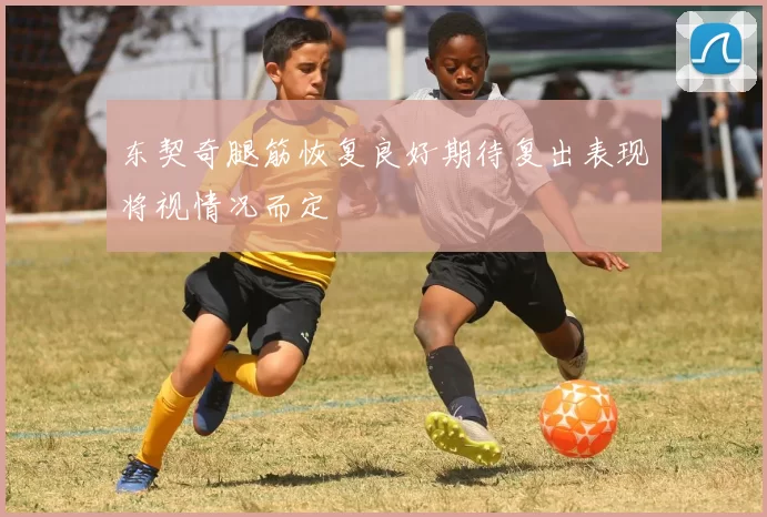 东契奇腿筋恢复良好期待复出表现将视情况而定